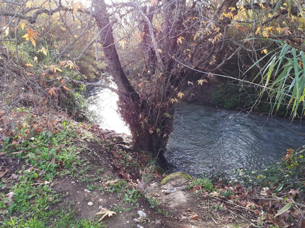 Villa By The River Facing The Hermon In Dafna Exterior foto